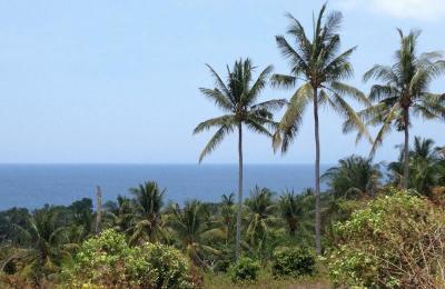 The Best Land for Sunset in Batulayar, Lombok