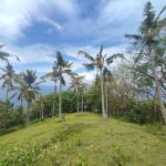Land in the Hill of Malaka Lombok With Full Sea View