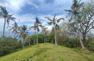Land in the Hill of Malaka Lombok With Full Sea View