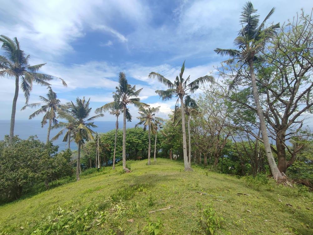 Land in the Hill of Malaka Lombok With Full Sea View